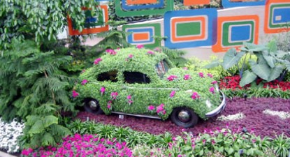 Cinci pași pentru o grădină fără cusur - f80aa233184527ebd7b36f7a59cf2e4e.jpg