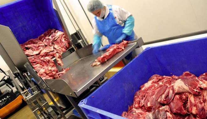 Anchetă asupra unei rețele de trafic de carne de cal, în Europa - fabricadecarne-1430461091.jpg
