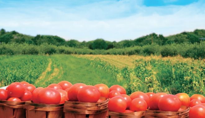 Faceți agricultură ecologică? Iată ce modificări legislative au apărut! - facetiagriculturaecologica-1565353333.jpg