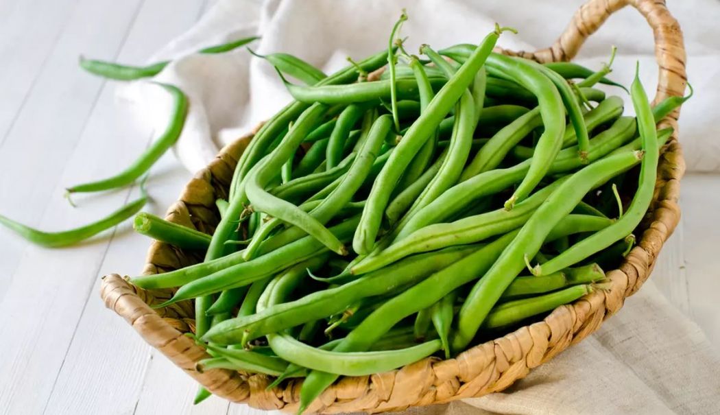 Fasolea verde sau uscată ajută la menținerea unui tranzit intestinal regulat - fasole-1713528069.jpg