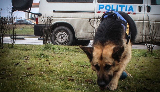 Fată de 14 ani, din Năvodari, căutată după ce a dispărut de acasă - fata-1499272382.jpg