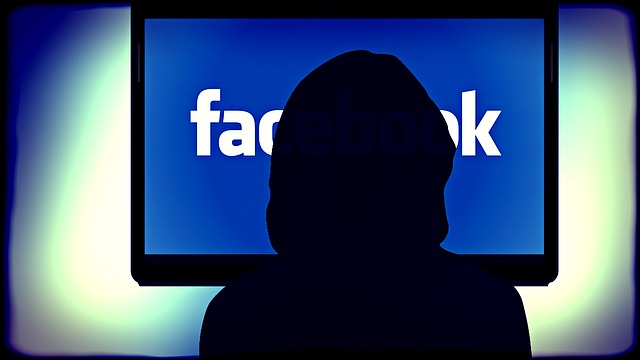 Datele private / O plângere împotriva Facebook, considerată admisibilă - fb-1445668173.jpg
