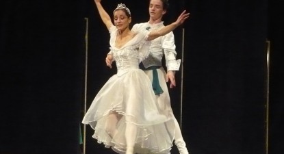 Spectacolele Teatrului 