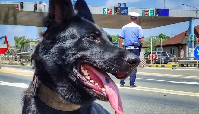 Poliţia, despre radare: "Nu folosiți Waze-ul! Vă spunem noi că sunt pe toate drumurile care duc către Constanța!"