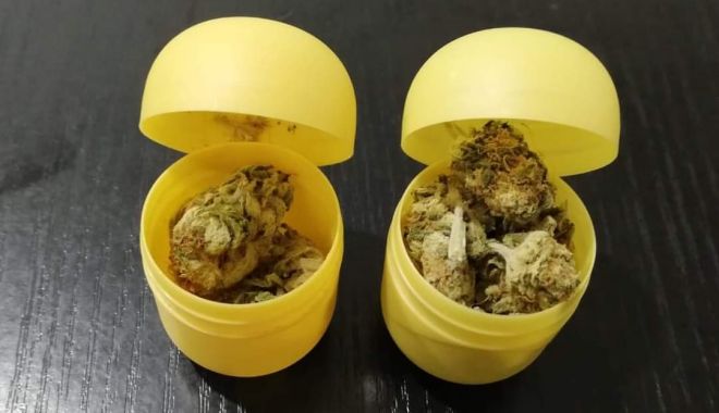 Surpriza din ouăle de ciocolată. Ce au găsit jandarmii constănțeni - fbimg1689255594654-1689257767.jpg