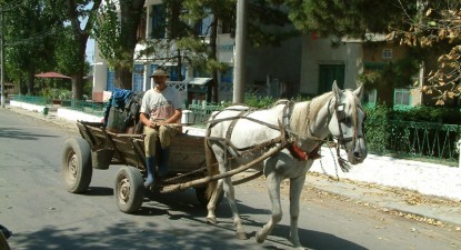 I-a spart geamurile de la casă și i-a furat calul pentru că nu a vrut să facă întrecere cu căruța - fd9feaee224753f923d50254601e7b0e.jpg