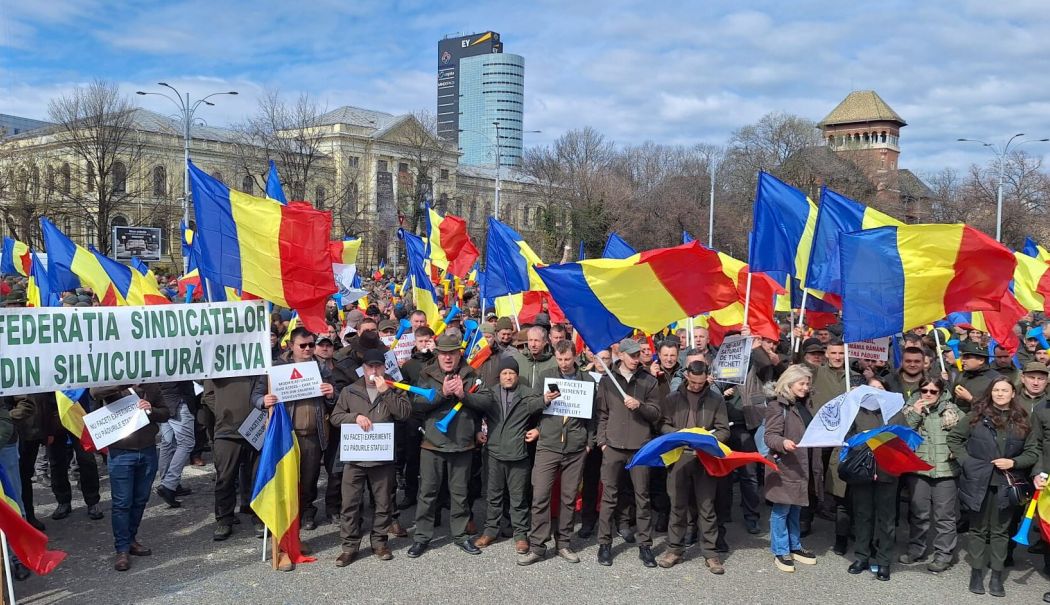 Silvicultorii ies în stradă nemulțumiți de reorganizarea Romsilva - federatiasilvaproteste1747288070-1753086913.jpg