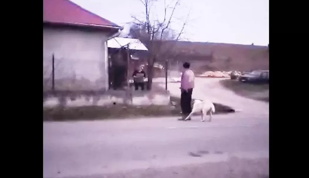 Cruzime fără margini. O femeie și-a omorât câinele din bătaie - femeie-1772817123.webp