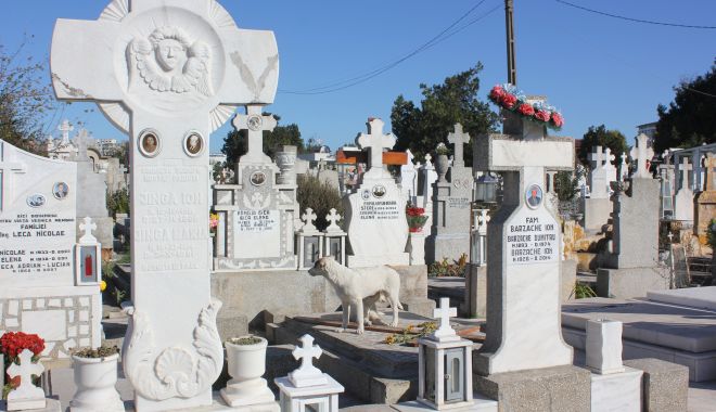 Groază în Cimitirul Central din Constanța. Un bărbat a agresat și lovit trei femei - femeietalharita-1550184368.jpg