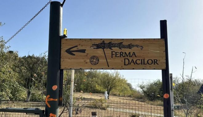 Parchetul a finalizat cercetarea de la Ferma Dacilor: mai multe persoane au fost audiate - fermadacilor1e1703620077362-1703857100.jpg