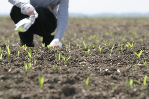 Iată de la ce bănci pot lua credite fermierii constănțeni - fermier-1346144377.jpg