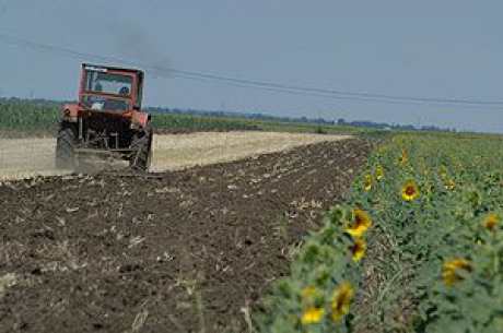 APIA eliberează adeverințe pentru obținerea de credite de către fermieri - fermier5-1322135946.jpg