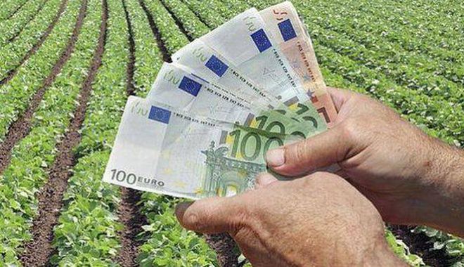 Fermierii au primit peste 88,844 milioane de euro - fermieriiauprimitpeste88844milio-1553700453.jpg