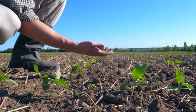 Fermierii cer urgentarea procedurii de evaluare a pagubelor din agricultură - fermieriicerurgentareaprocedurii-1595252005.jpg