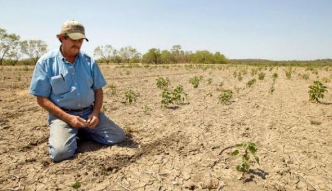 Fermierii din Dobrogea, în situaţie critică din cauza secetei - fermieriidindobrogea-1602658406.jpg