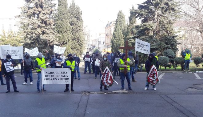 Fermierii dobrogeni ameninţă cu proteste fără precedent - fermieriidobrogeniameninta-1619348621.jpg