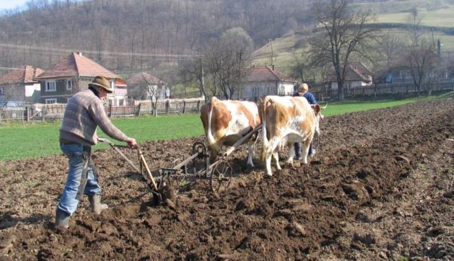 Se solicită urgentarea despăgubirilor pentru culturile de primăvară - fermieriisolicitadespagubiri-1612107030.jpg