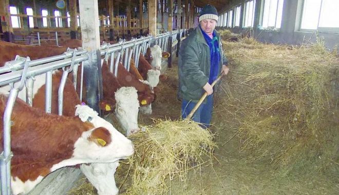 Fermierii pot primi ajutor de stat, dacă angajează tineri - fermieriivorprimiajutor2-1610563953.jpg
