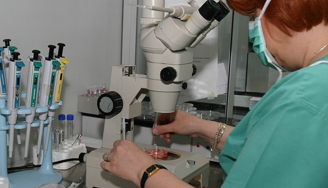 Fertilizarea in vitro acordă șansa de a avea copii femeilor de peste 40 de ani - fertiliyare13119600-1350939096.jpg