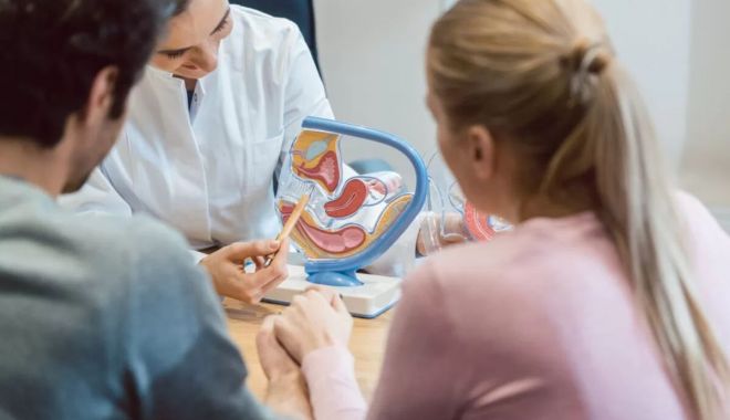 Platformă online pentru depunerea actelor necesare programului fertilizarea in vitro - fertilizare-1690113529.jpg