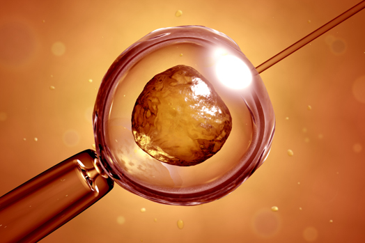 De când puteți depune dosarele pentru feritilizare în vitro - fertilizareainvitrofiv-1433347357.jpg