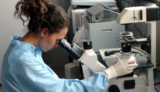 Este interzisă coplata pentru fertilizarea in vitro subvenționată de stat - fertilizareinvitro-1308673125.jpg