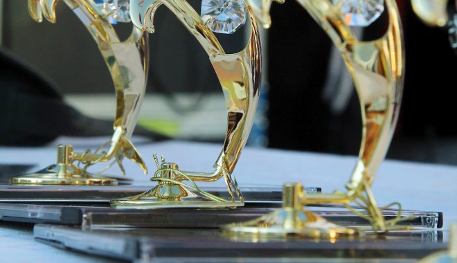 Premii consistente  la Festivalul 