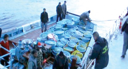 Doi comandanți de nave turcești, trimiși în judecată pentru că au pescuit ilegal în apele teritoriale ale României - ff66de097ebf87e8c61d1bc35825e947.jpg