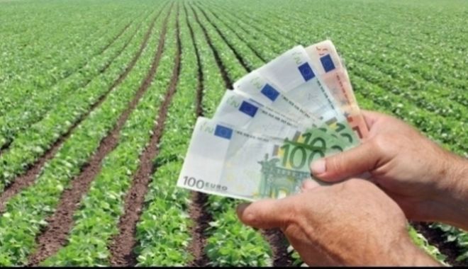 Finanțare de peste 87 de milioane de euro pentru sectorul vegetal - finantaredepeste87demilioanedeeu-1652895677.jpg