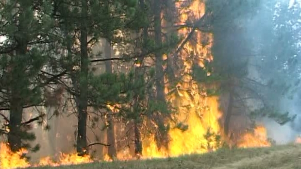 INCENDIU DE AMPLOARE! Peste 80 de persoane se luptă cu flăcările - flacari52340500-1525330115.jpg