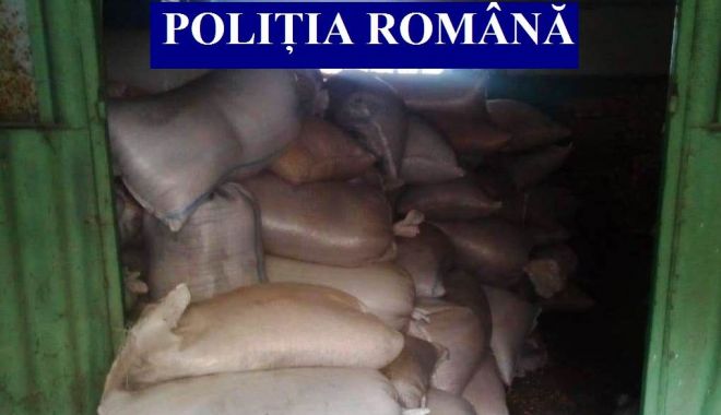 Flagrant și 24 de perchiziții, la Constanța. 17 persoane reținute pentru furt calificat - flagrant-1538395264.jpg