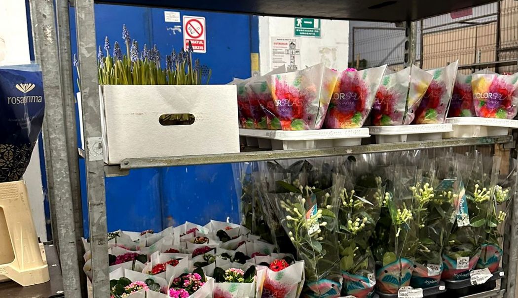 ANPC a controlat mai mulţi operatori economici care vând flori şi plante ornamentale - flori9-1740649700.jpg