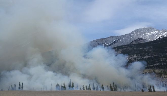Incendiu în Parcul Național Domogled-Valea Cernei - foc-1524912674.jpg