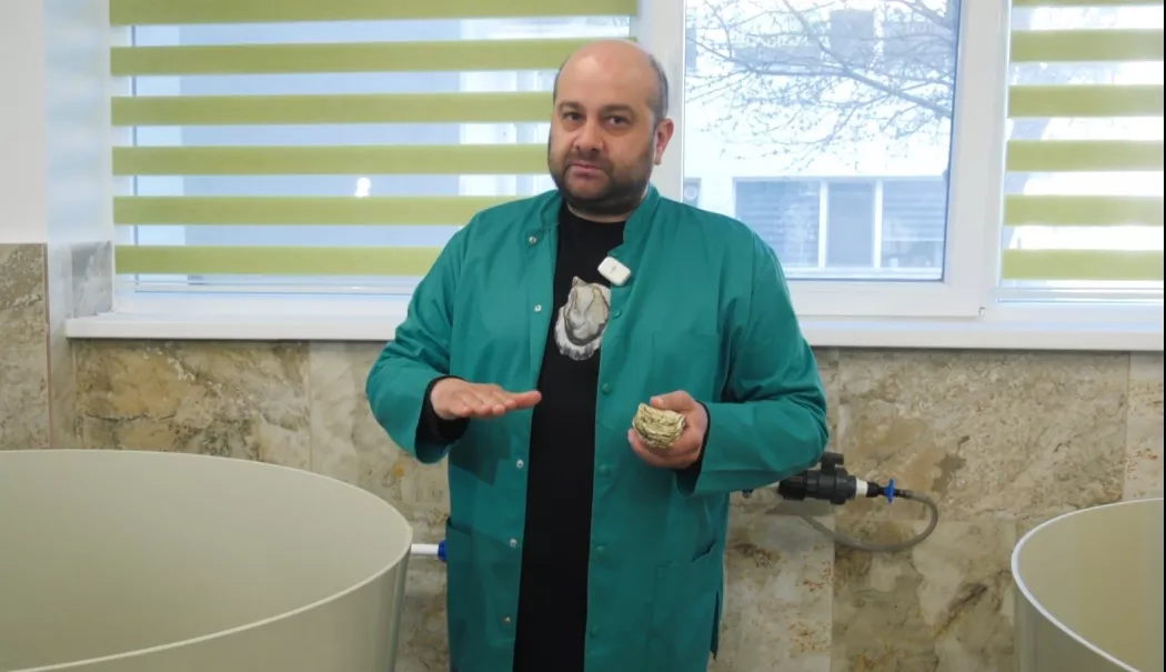 Scoici și creveți „crescuți” în laborator, la Institutul „Grigore Antipa”