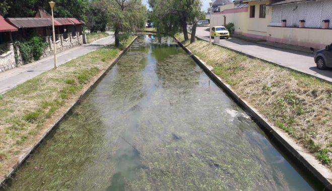Satul de Vacanţă, uitat de autorităţi. Canalul care leagă cele două lacuri, focar de infecţie - fond-1623171681.jpg