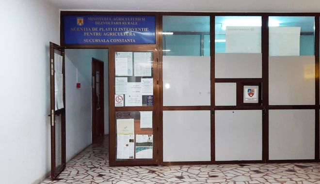 Abuz sau incompetență profesională la APIA Constanța! Cine girează fărădelegile? (I) - fond-1629827397.jpg
