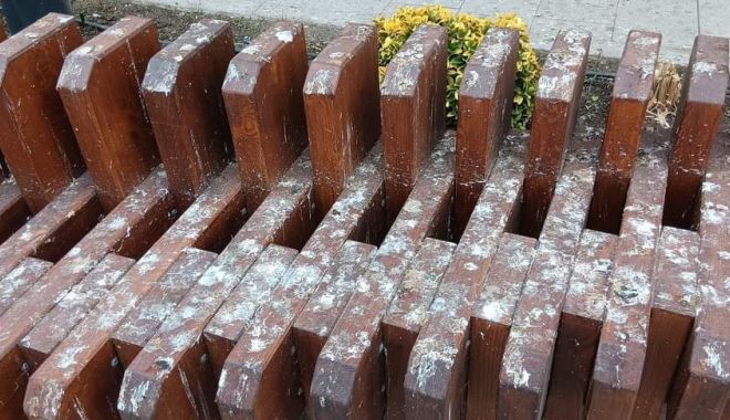 Noul mobilier urban e greu de întreținut? 