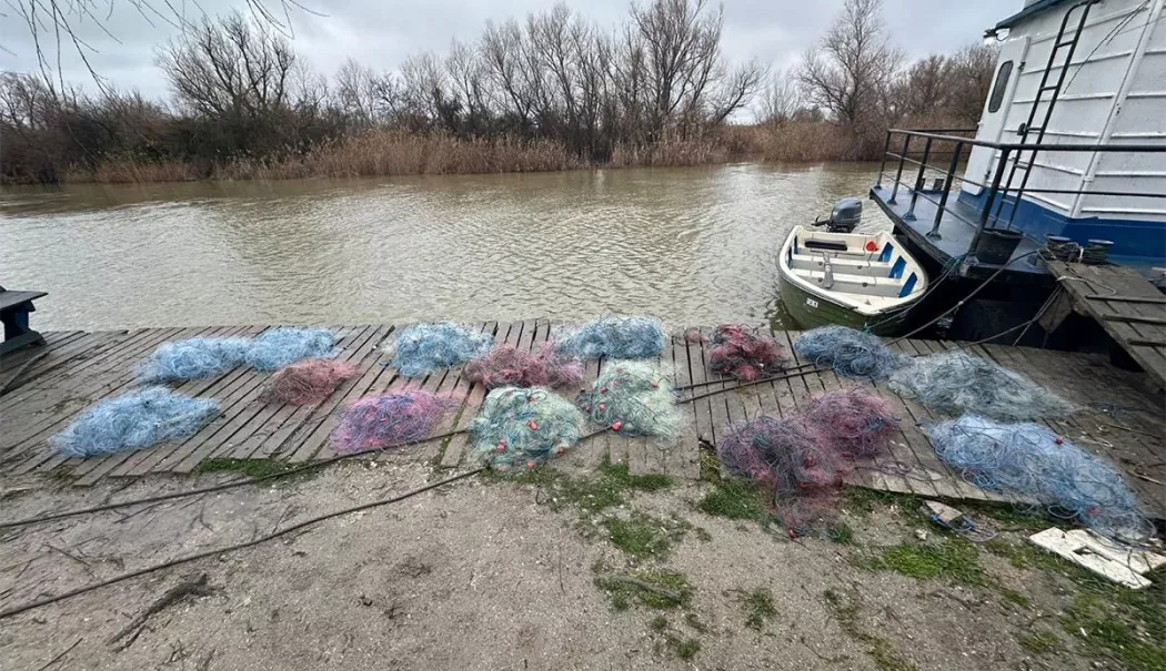 Lovitură dură pentru braconieri! Captură uriașă făcută de Garda de Coastă