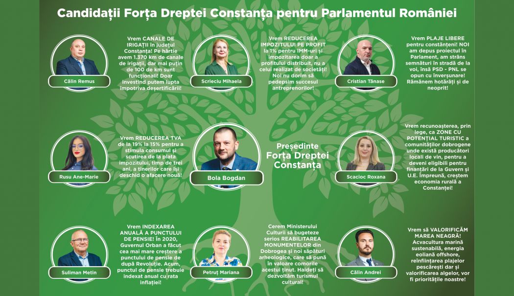 Ei sunt candidații Forța Dreptei Constanța la alegerile parlamentare - fond-candidatii-forta-dreptei-1-1732212211.jpg