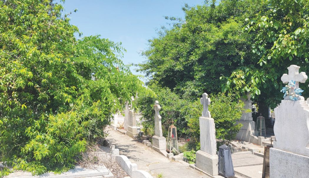 Cavourile nepăsării! Constănțeni somați pentru buruieni, în timp ce din alte morminte cresc copaci