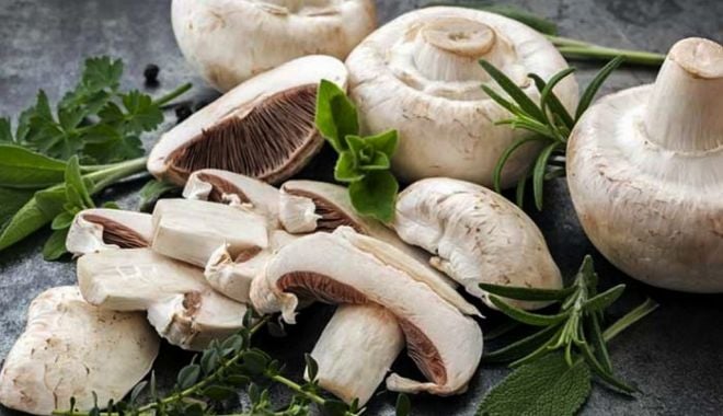 Efectele ciupercilor Champignon asupra microflorei intestinale - fond-ciuperci-1683474860.jpg