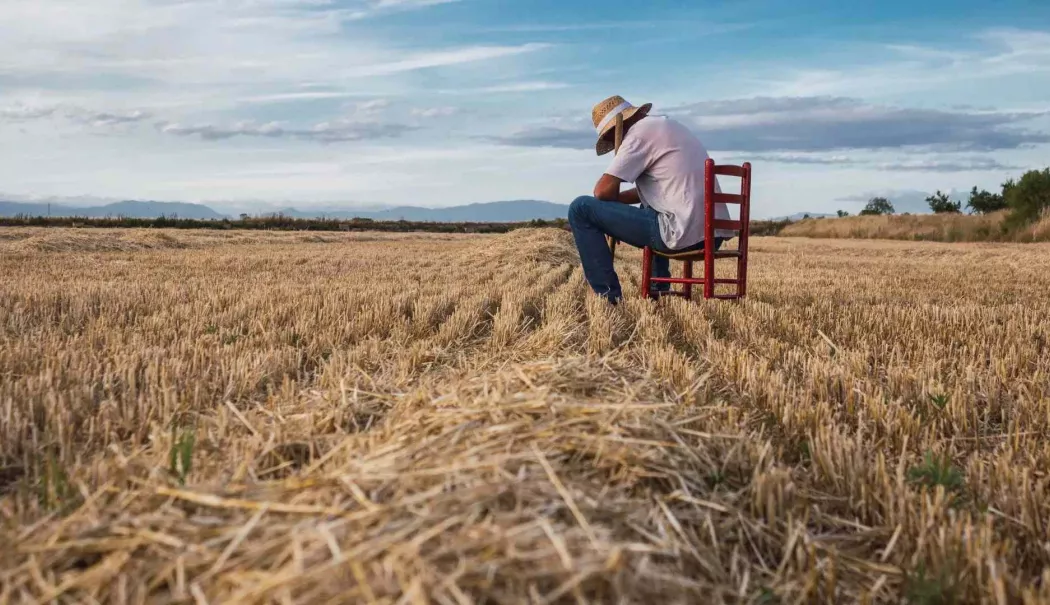 Criză în agricultură. Fermierii constănțeni cer soluții rapide și piețe alternative - fond-criza-la-agricultura-1777029844.webp