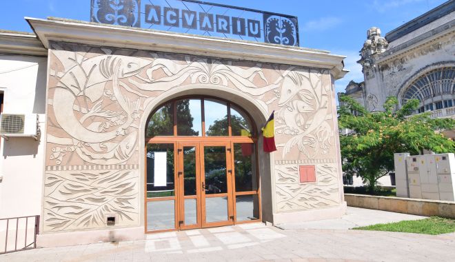 Va fi deschis Acvariul până la sfârșitul verii? „Nu vrem să punem în pericol vizitatorii” - fond-delfinariu-1705592845.JPG