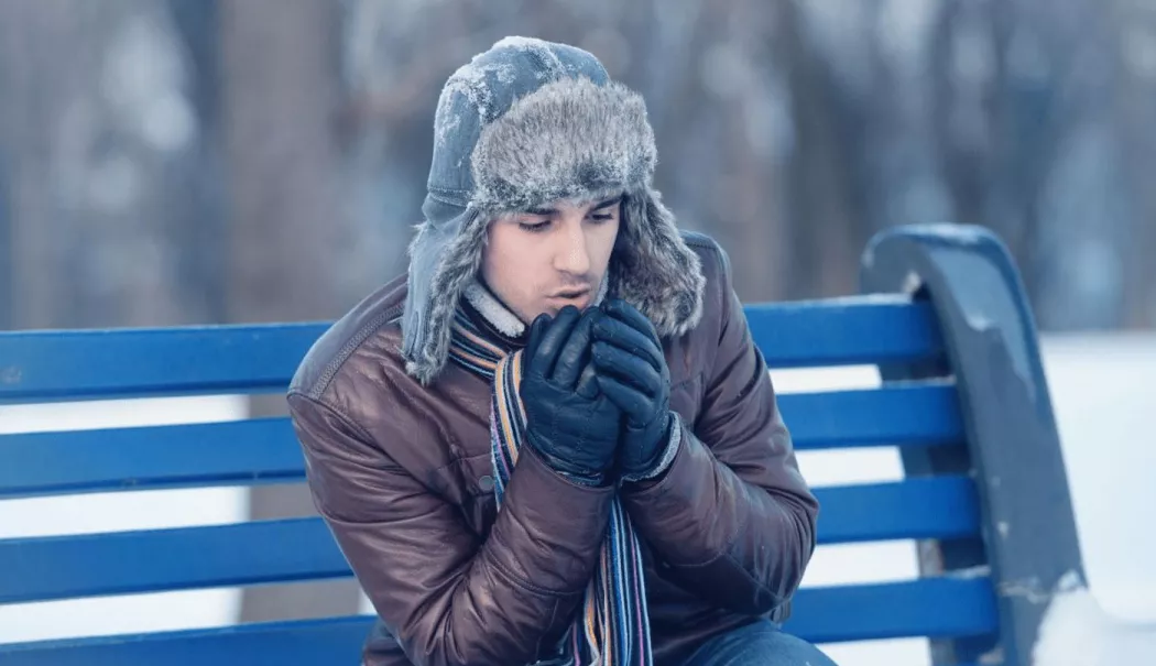 Frigul, mai mult decât un simplu disconfort. Cum ne afectează corpul și psihicul - fond-frig-2-1768569300.webp
