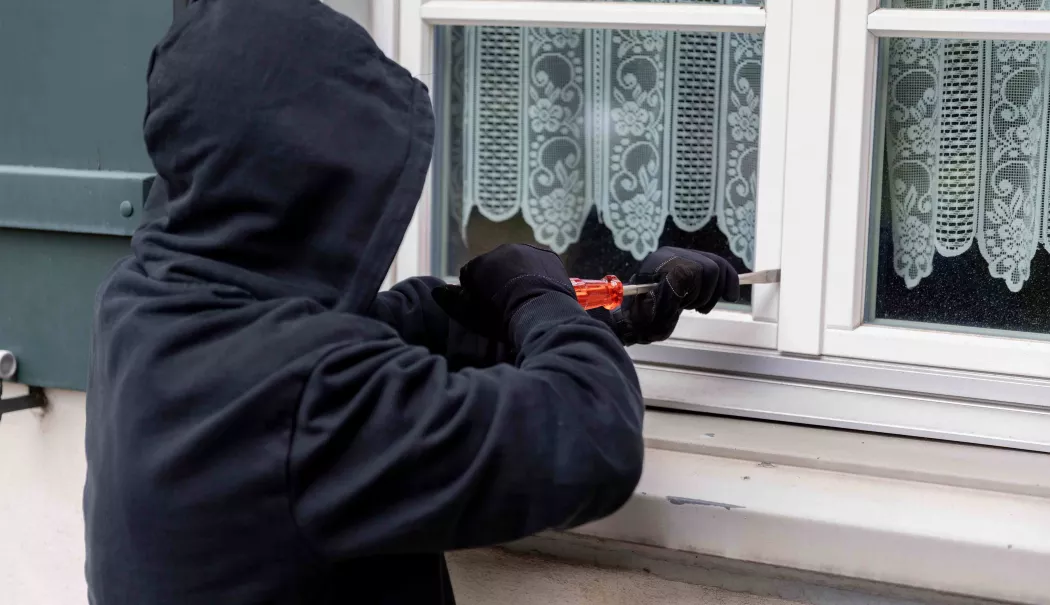 Furturi dovedite în instanță, dar nepedepsite. Cinici tineri au scăpat de închisoare - fond-furt-1769428610.webp