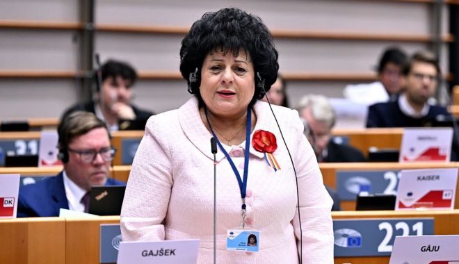 Mariana Gâju, preşedintele ACoR, filiala Constanţa, prezentă la Bruxelles - fond-gaju-bruxelles-1701348670.jpg