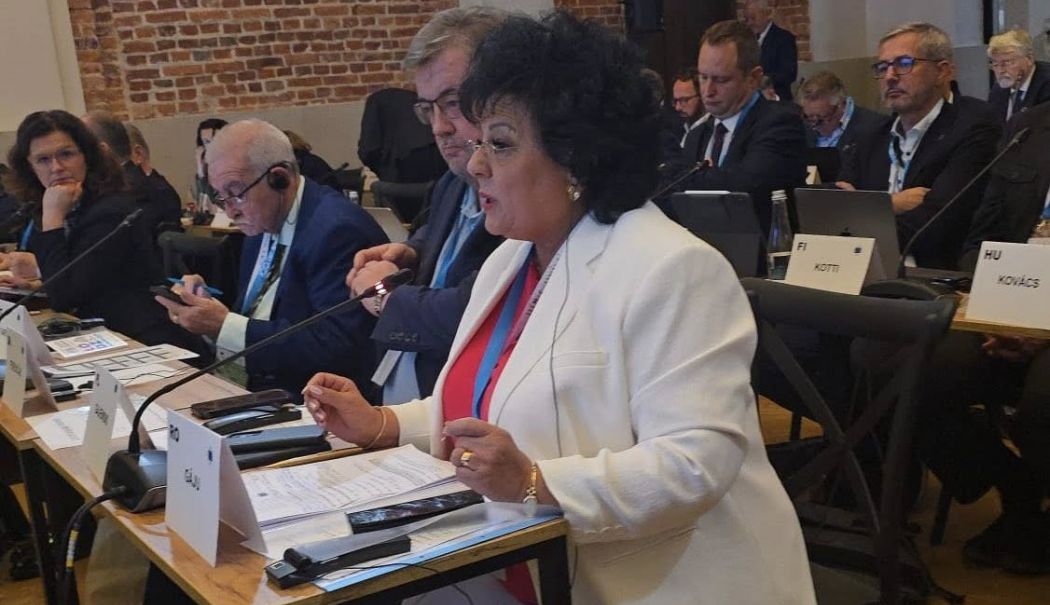 Mariana Gâju, la reuniunea din Polonia. „Am subliniat necesitatea unei uniuni energetice la nivel european”