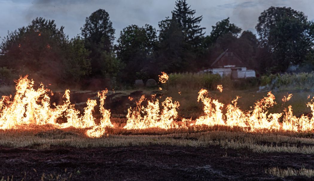 Incendiile de vegetație uscată fac ravagii în județul Constanța. Care sunt principalele cauze