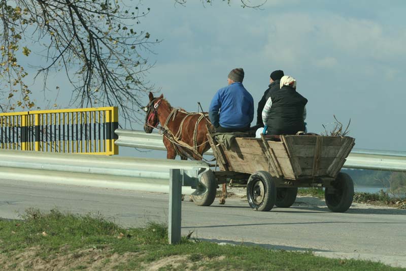Un minor și-a lăsat victima în agonie, pe marginea drumului. Ce au decis magistrații în cazul lui - fond-inculpatul-minor-1736947887.jpg