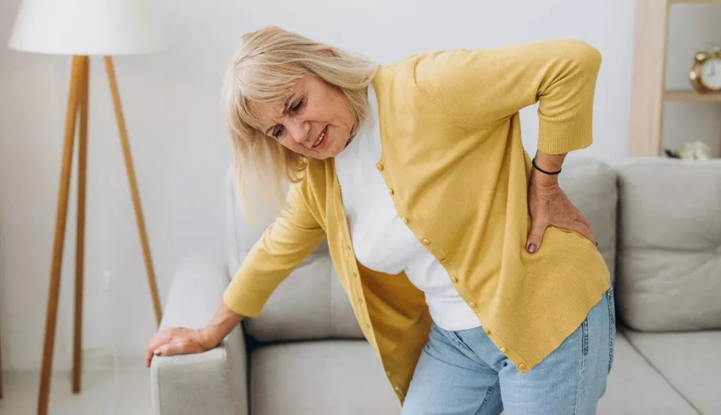 Osteoporoza nu doare la început. Cum aflați dacă sunteți la risc și ce aveți de făcut - fond-osteoporoza-2-1772125396.webp